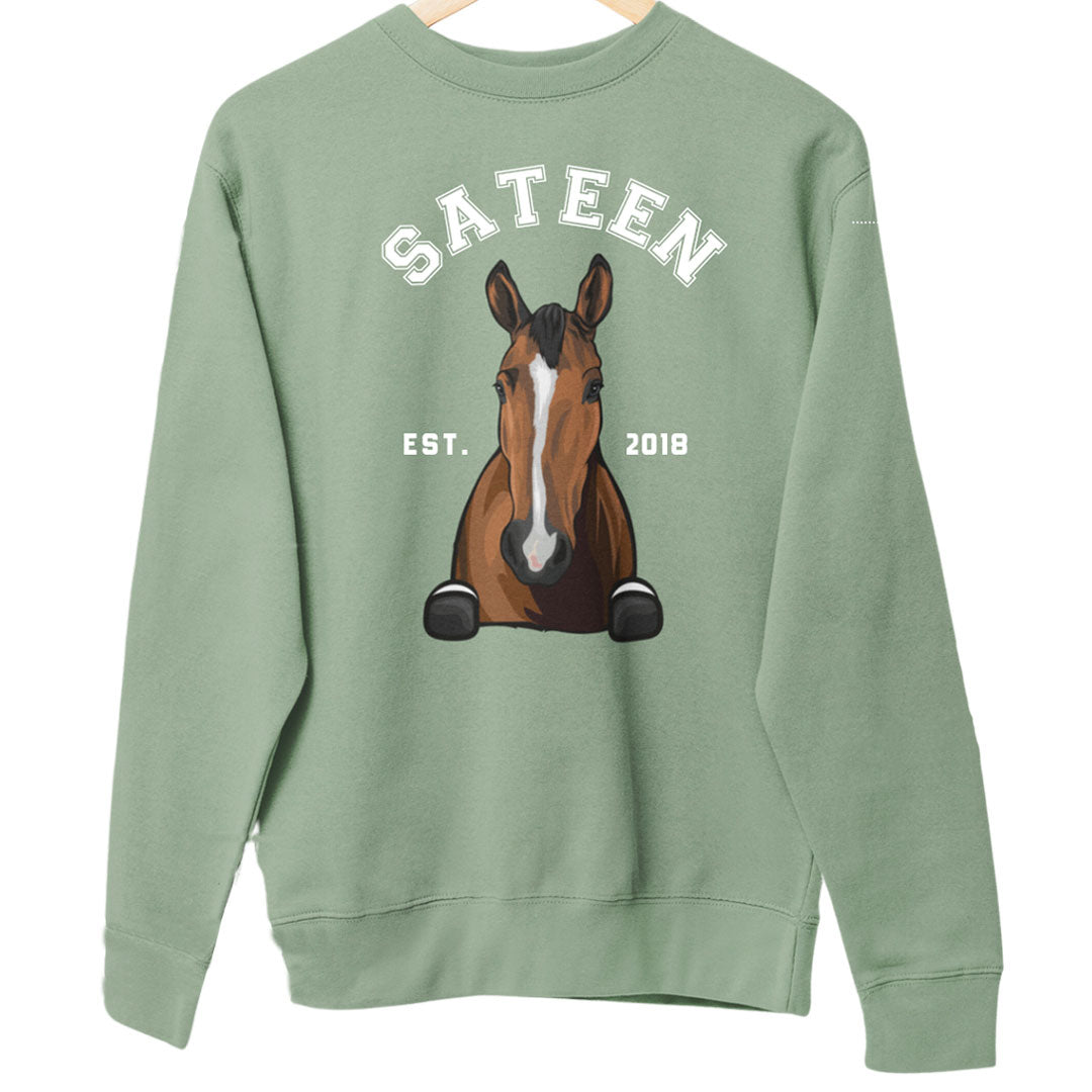 COLLEGE CREWNECK (Unisex)